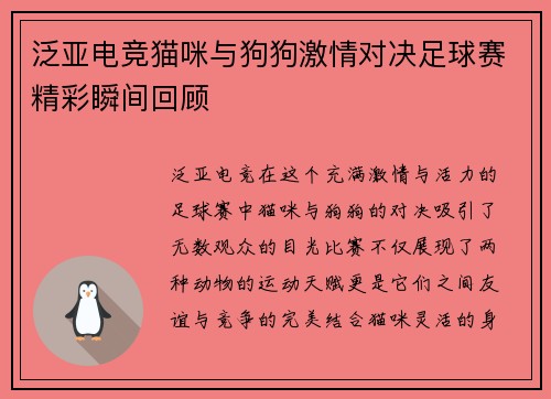 泛亚电竞猫咪与狗狗激情对决足球赛精彩瞬间回顾